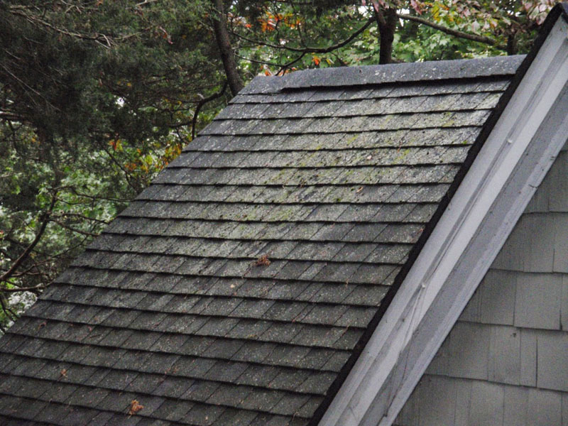 Stony Brook NY - Power Washing Before Asphalt Roof with mold growth